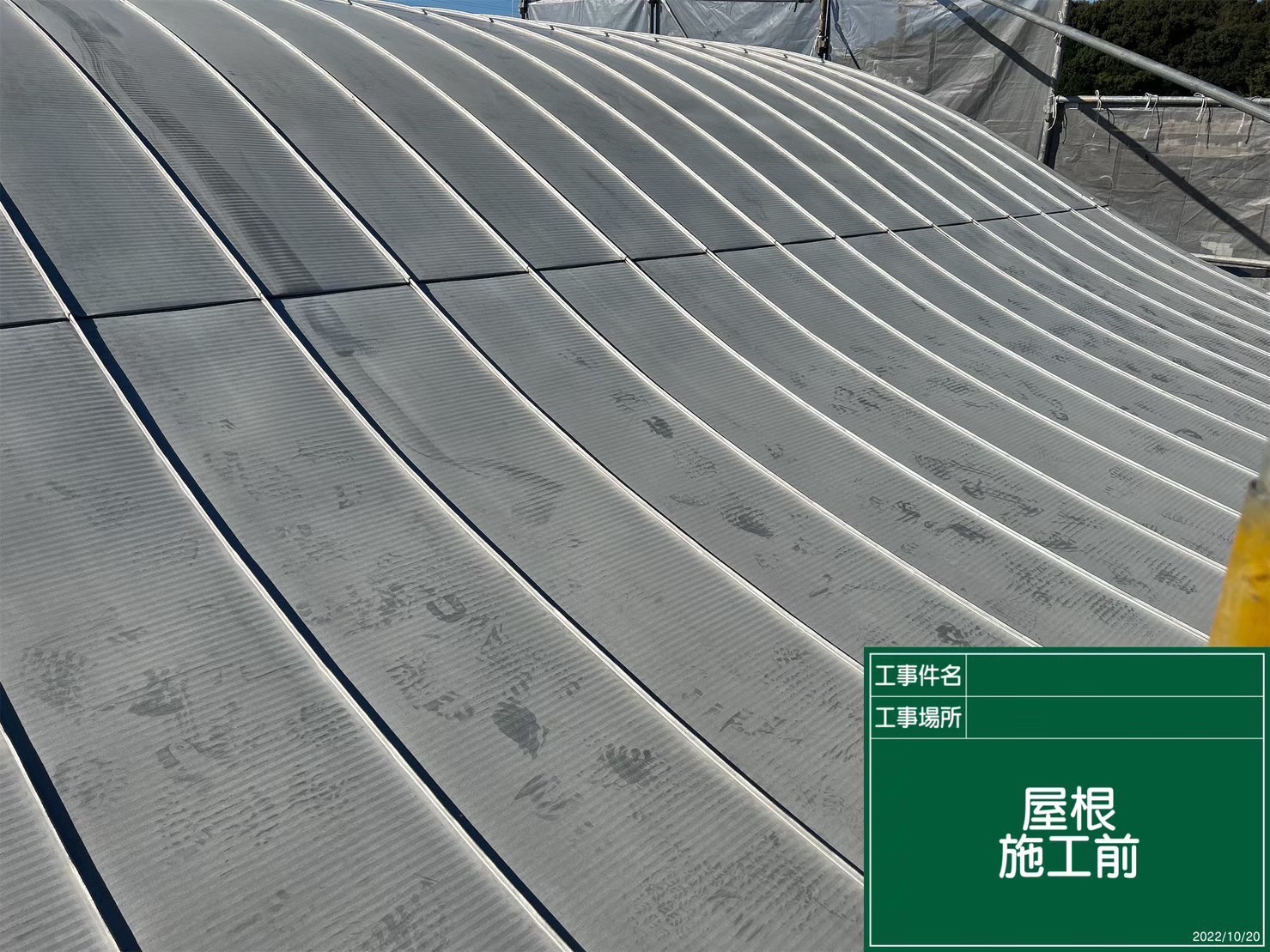 近くで見てみるとこのような形