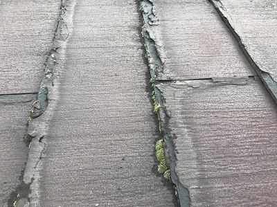 カラーベストの劣化によってコケ発生