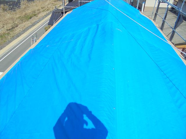 新見市　下葺き材の施工ブルーシート