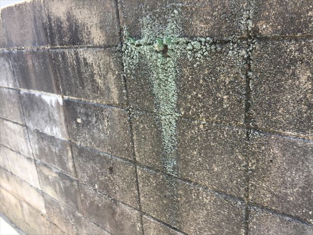 岡山市南区で雨樋点検。集水器つまり