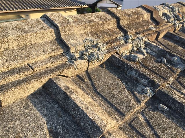 玉野市 屋根に苔が生えてる