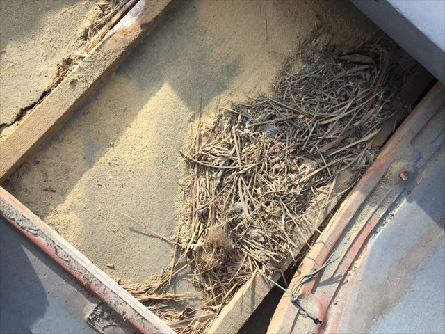 岡山市南区　屋根補修工事　屋根点検