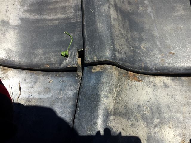 吉備中央町軒瓦欠落　瓦ずれ