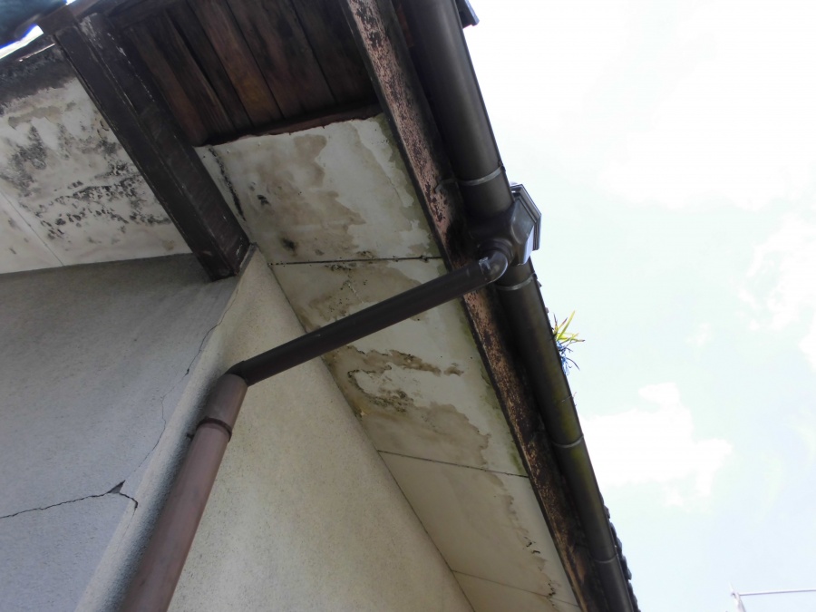 剥がれた軒天と傷んだ鼻隠し