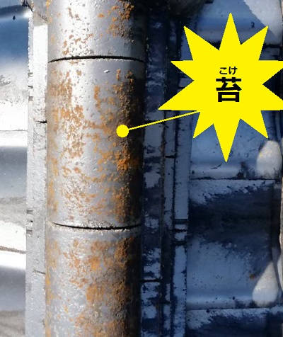 セメント瓦　苔　塗膜の劣化　現地調査