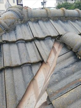 セメント瓦　ズレ