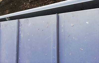 鳥の糞　金属屋根　劣化原因