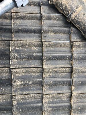 セメント瓦　歪み