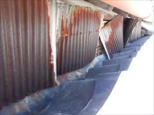 ネコ侵入対策　既存板金　劣化状況