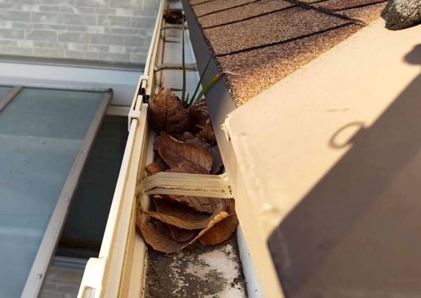 1階の軒樋に落ち葉が溜まっている