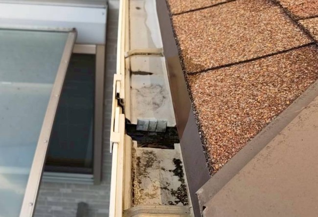 1階軒樋の清掃が完了