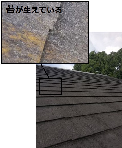 スレート屋根　苔　劣化