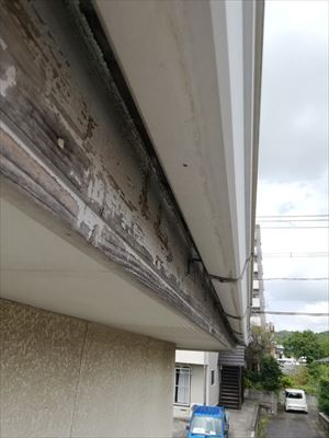 軒天　塗装工事前