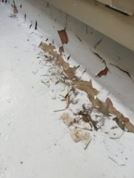 ベランダ　防水剥がれ