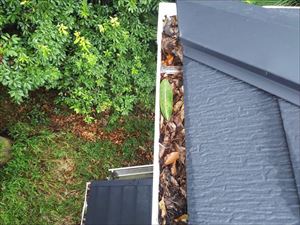 軒樋・出隅箇所　落葉詰まりの様子