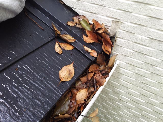 枯れ葉が詰まった雨樋