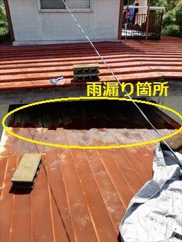 離れへの通路　雨漏り箇所