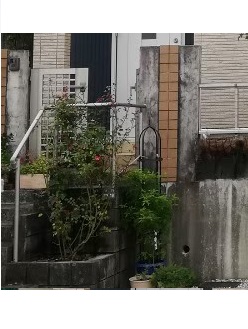 門柱周り　提案内容