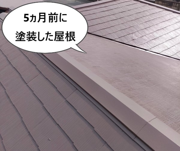 5ヵ月前に塗装した屋根