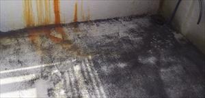 ベランダ　色褪せ