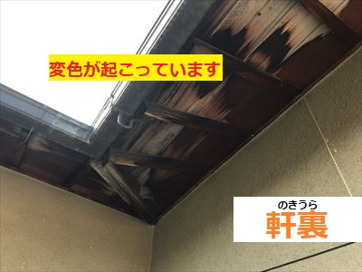 軒裏の変色