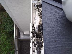 軒樋　落ち口部分　清掃後