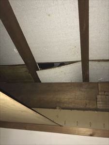 天井裏　雨漏れ箇所①