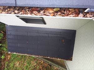 軒樋　落葉詰まりの様子