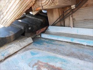 ネコ侵入箇所　屋根奥部分