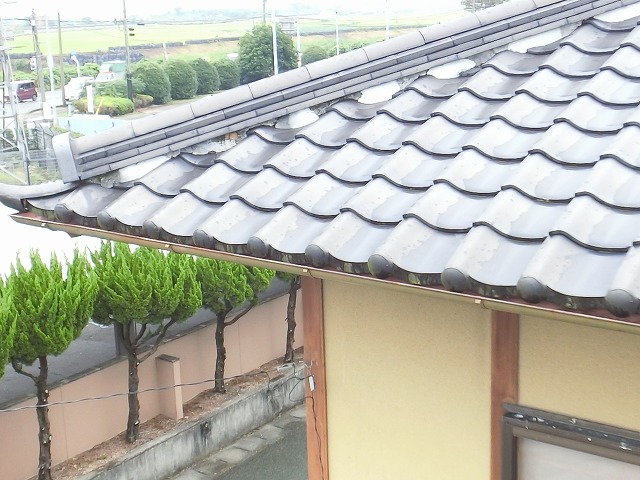 西島様３