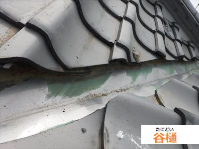 谷樋　漆喰除去