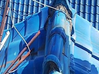 現地調査　棟瓦ズレ