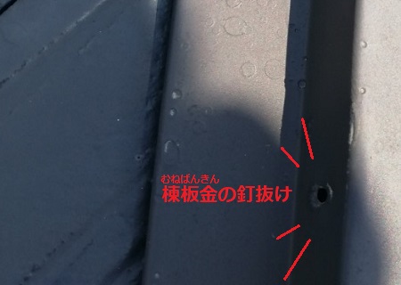 棟板金　釘抜け　台風被害