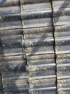 セメント瓦　色褪せ