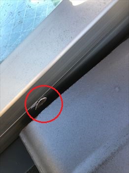 コーキング劣化