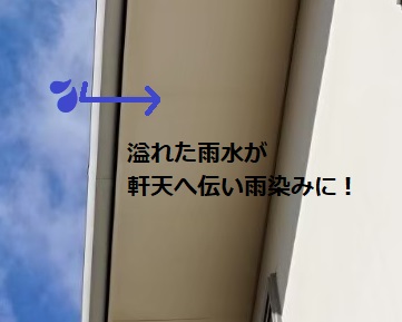 軒天　雨染みの原因　オーバーフロー　鳥の巣