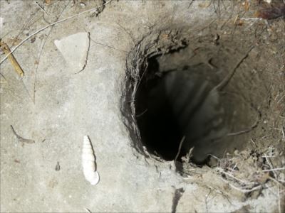 ベランダドレン　雨漏り調査