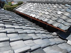 ネコ侵入対策　屋根の取り合い部分