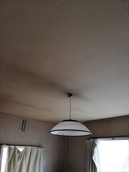 雨染み　現地調査