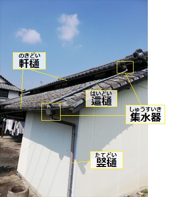 雨樋　役割　軒樋　這樋　集水器　竪樋