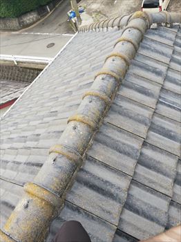 セメント瓦　コケ　変色