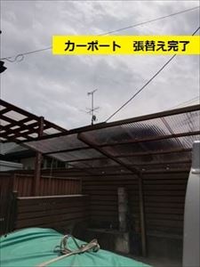 カーポート屋根　波板全面張替工事完了