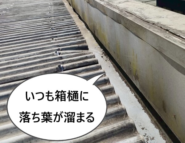 いつも箱樋に落ち葉が溜まる