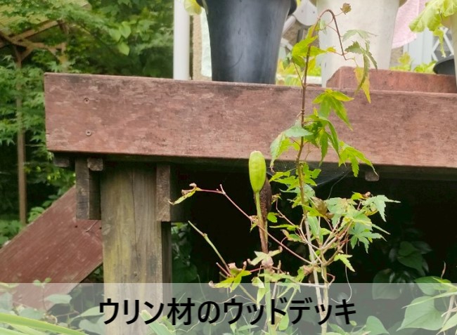 ウリン材のウッドデッキ