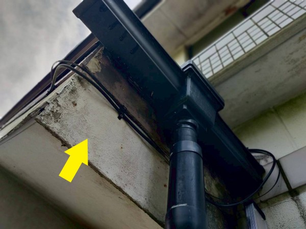 オーバーフローにより鼻隠しが腐食している