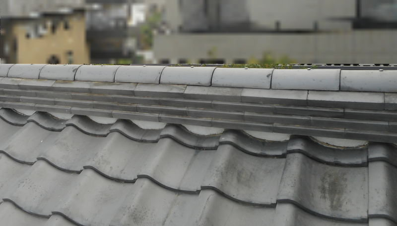 ガイドライン工法で棟取り直しが完了