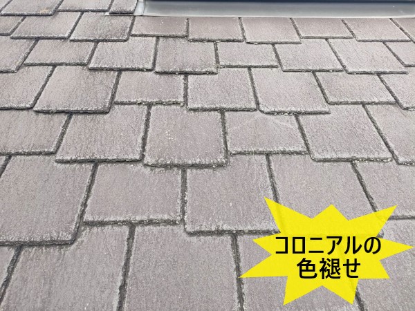 コロニアルの色褪せ