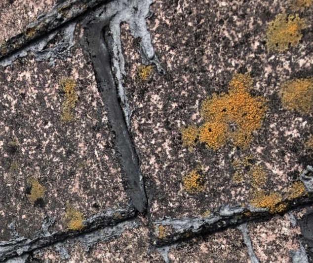 コロニアルの防水性が低下して苔が発生