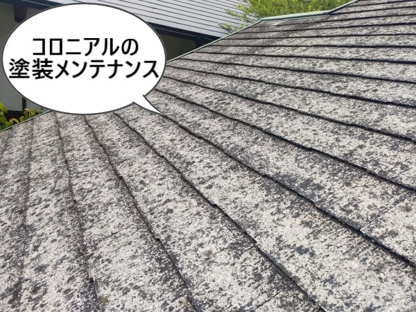 コロニアル屋根の塗装メンテナンスが必要な状態