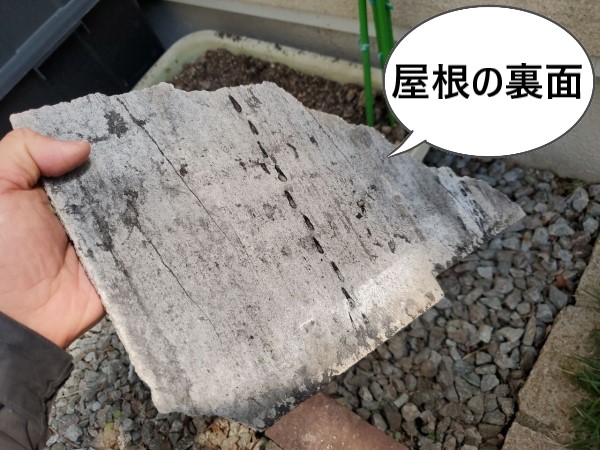 コロニアル屋根の裏面